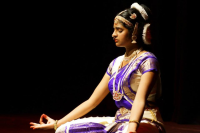 Multicultural Evening 2013
