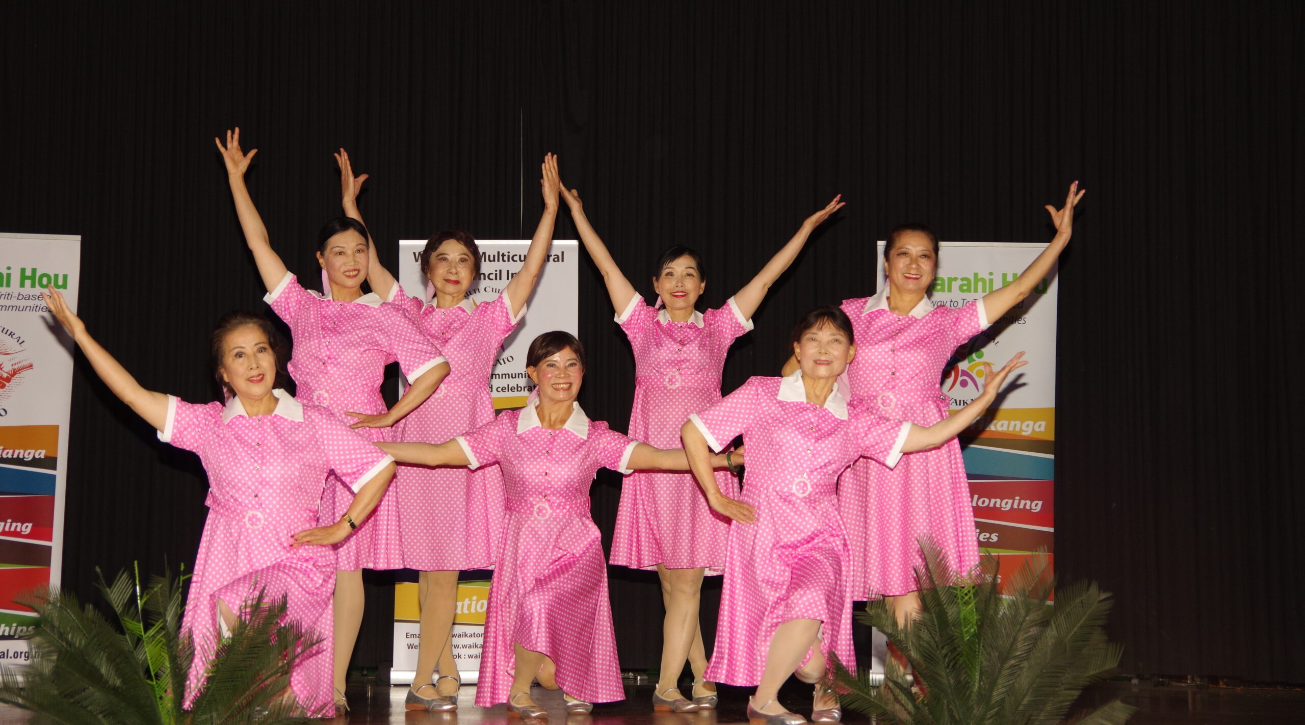 IMGP6499 IMGP6499
